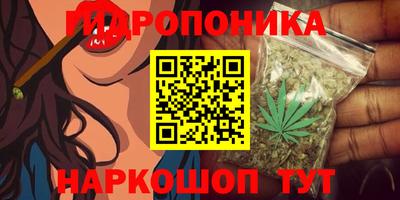 apvp Анжеро-Судженск
