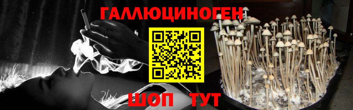 Галлюциногенные грибы GOLDEN TEACHER  купить закладку  Калач-на-Дону  Вход с VPN 
