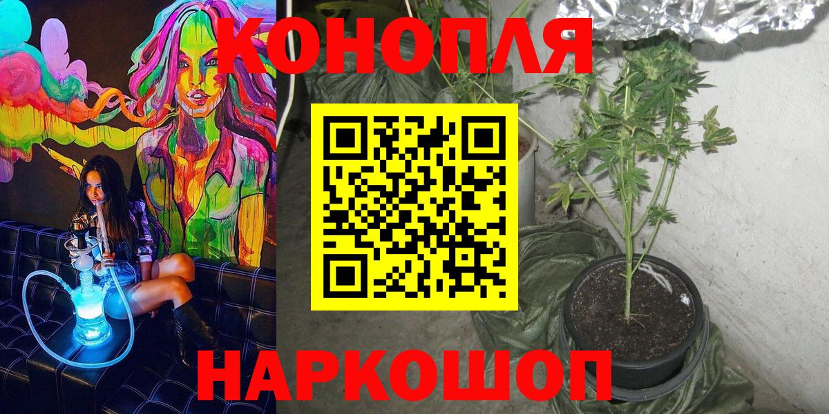 Калач-на-Дону  Шишки марихуана ГИДРОПОН  Бошки Шишки White Widow  Вход с VPN 